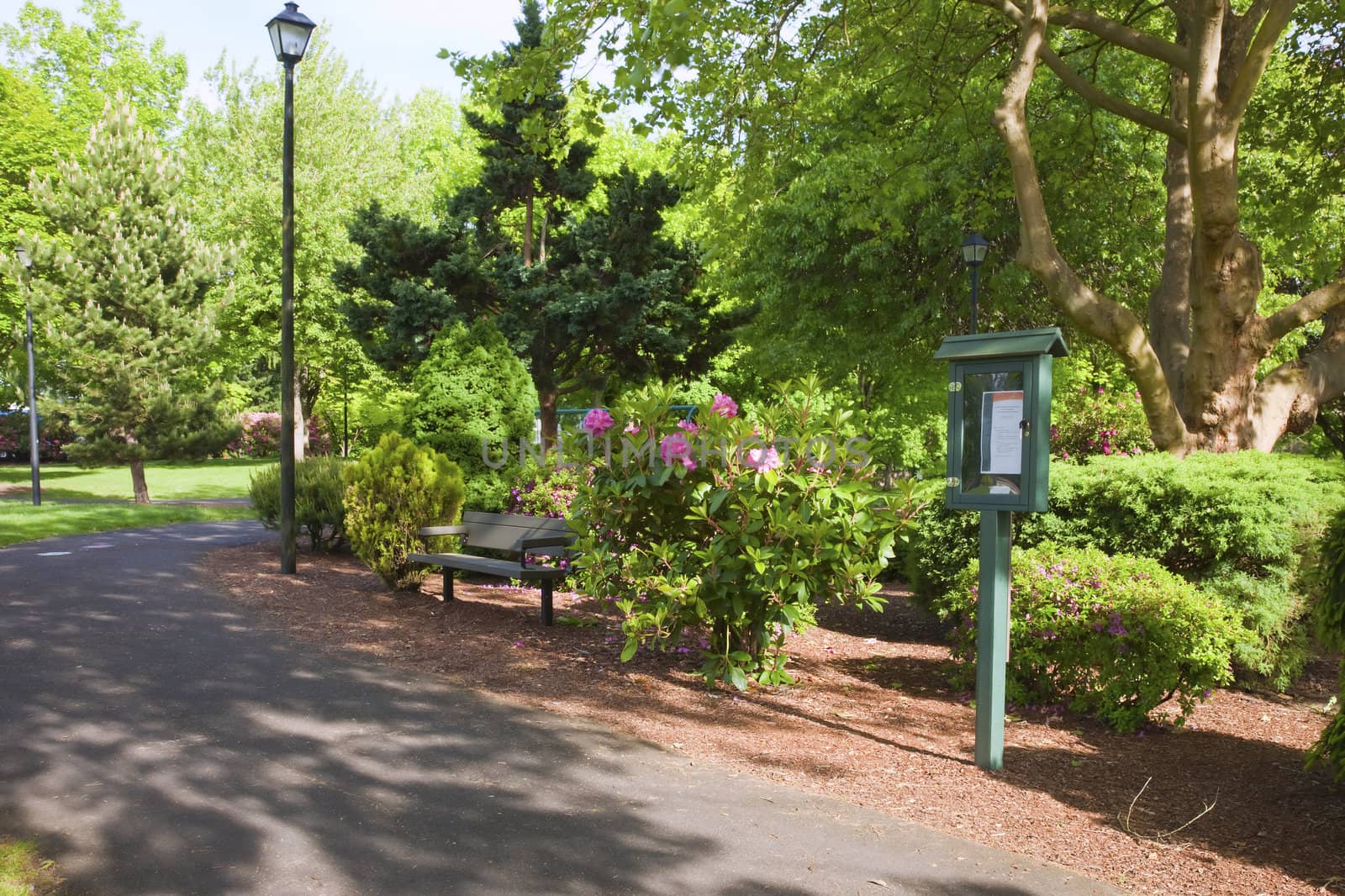 Public park in the neighborhood.