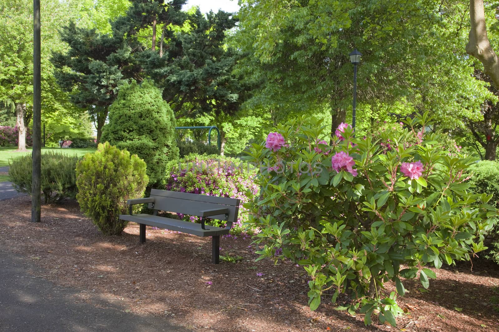 Public park in a neighborhood.