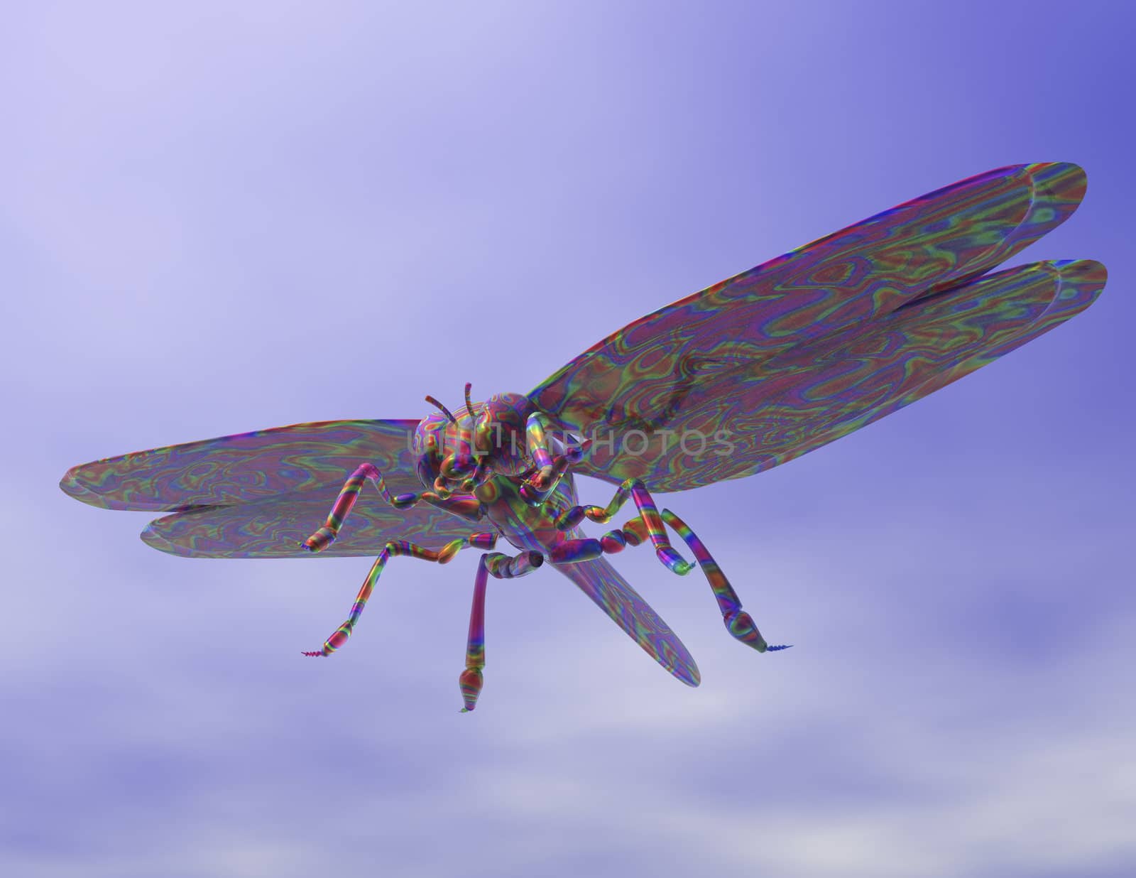 Digital visualization of a dragonfly