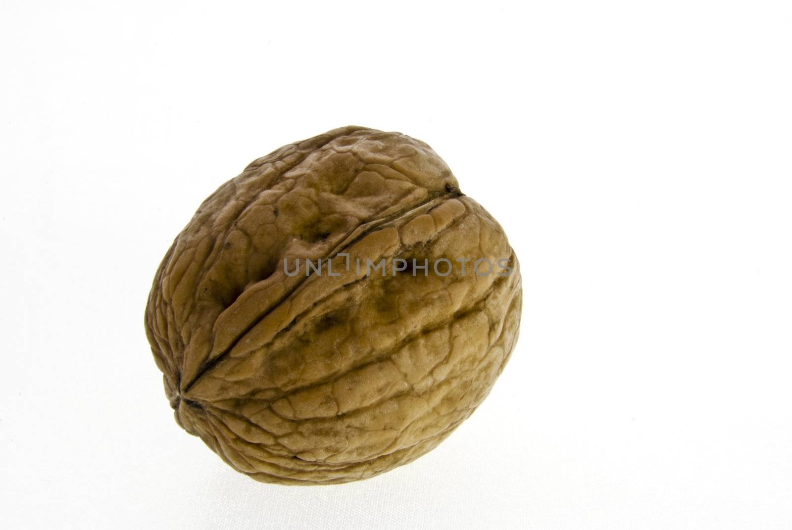 Close up of a walnut