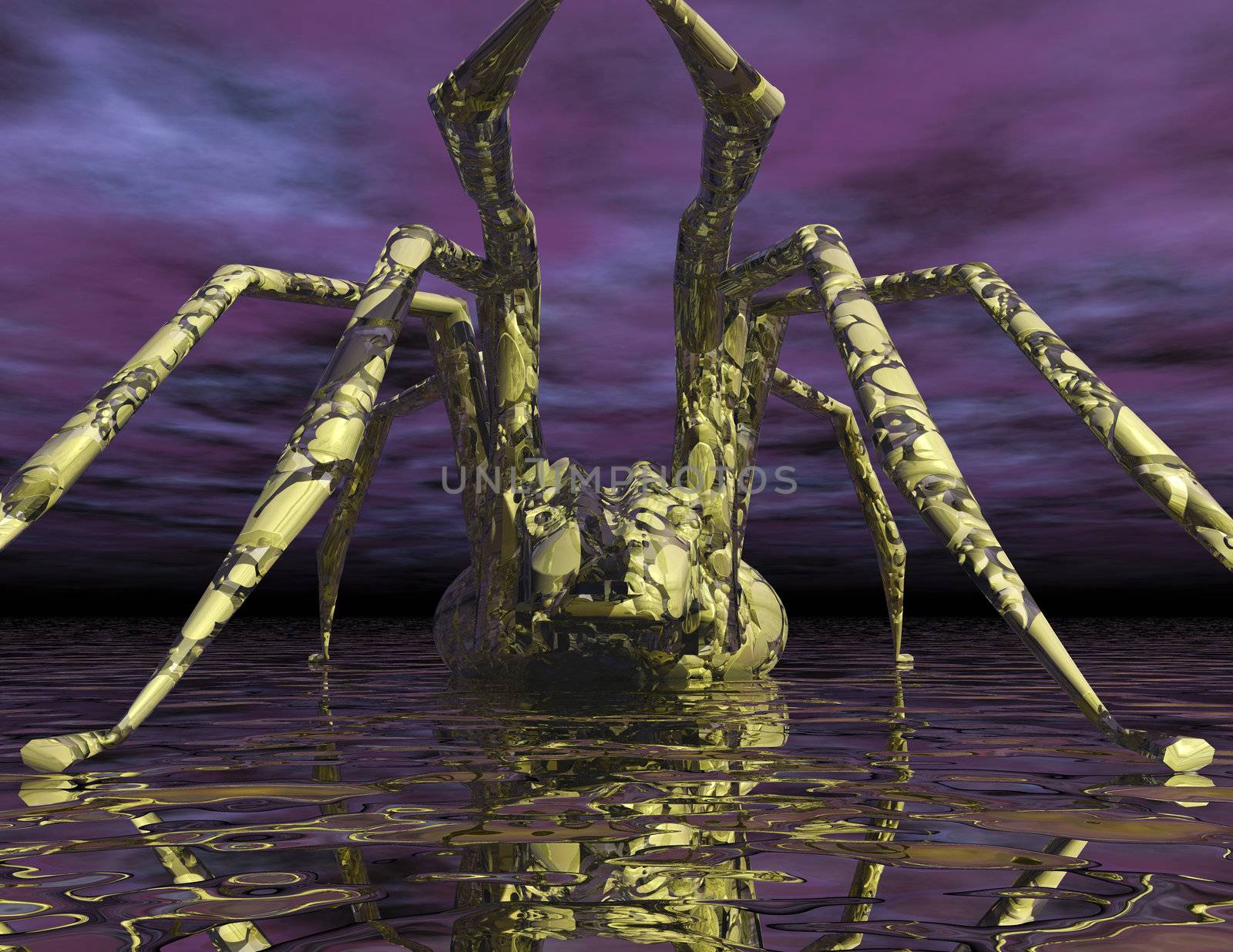 Digital visualization of a spider