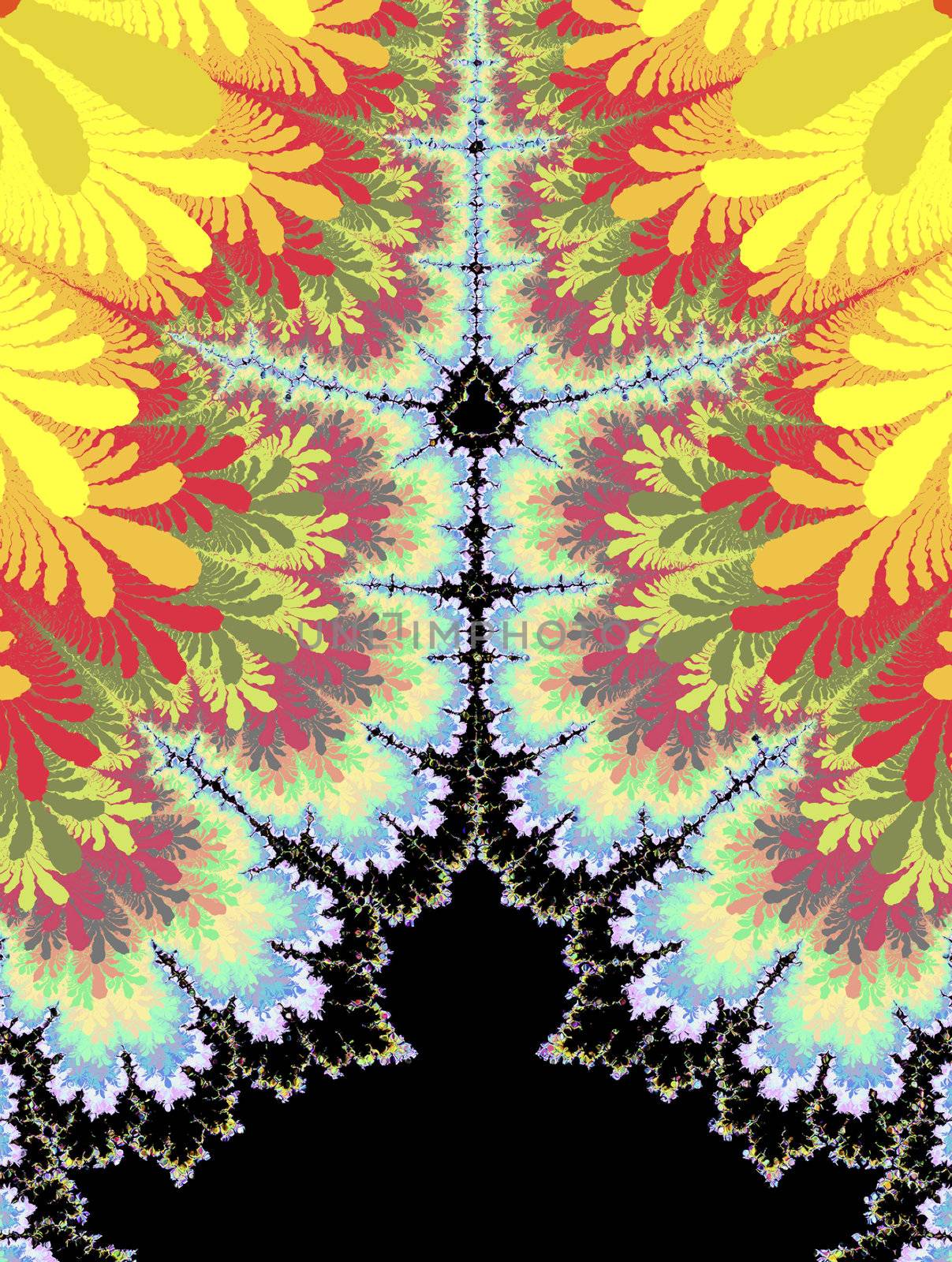 digital rendering of a fractal