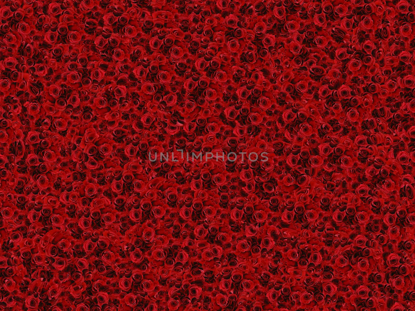 background with a roses texture