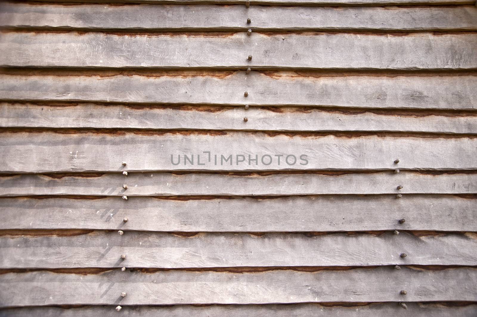 Wood