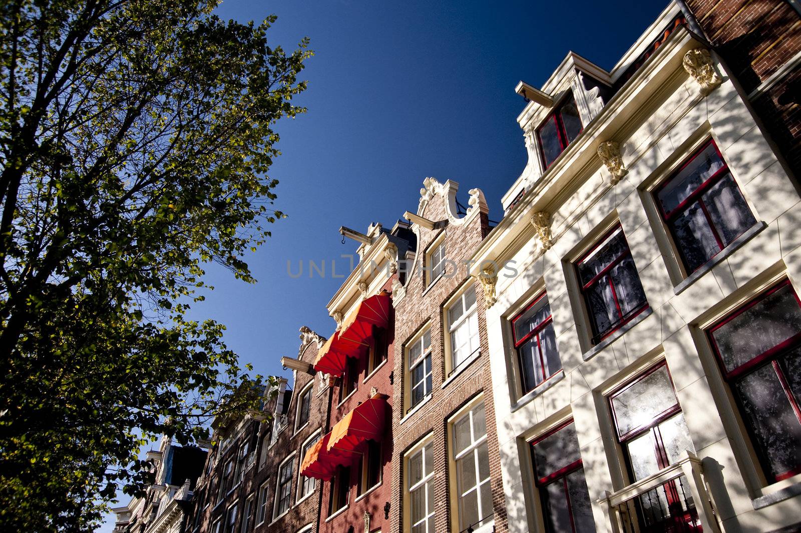 scene in the old town of amsterdam, netherlands