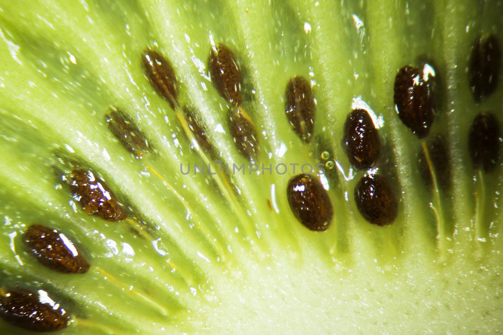 Close up of a kiwi fruit