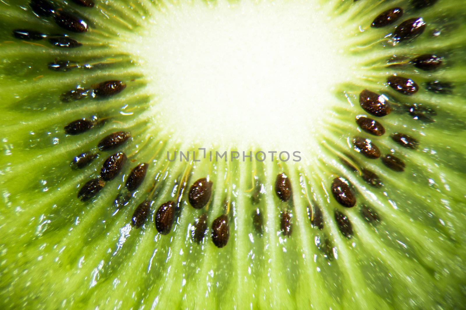 Close up of a kiwi fruit