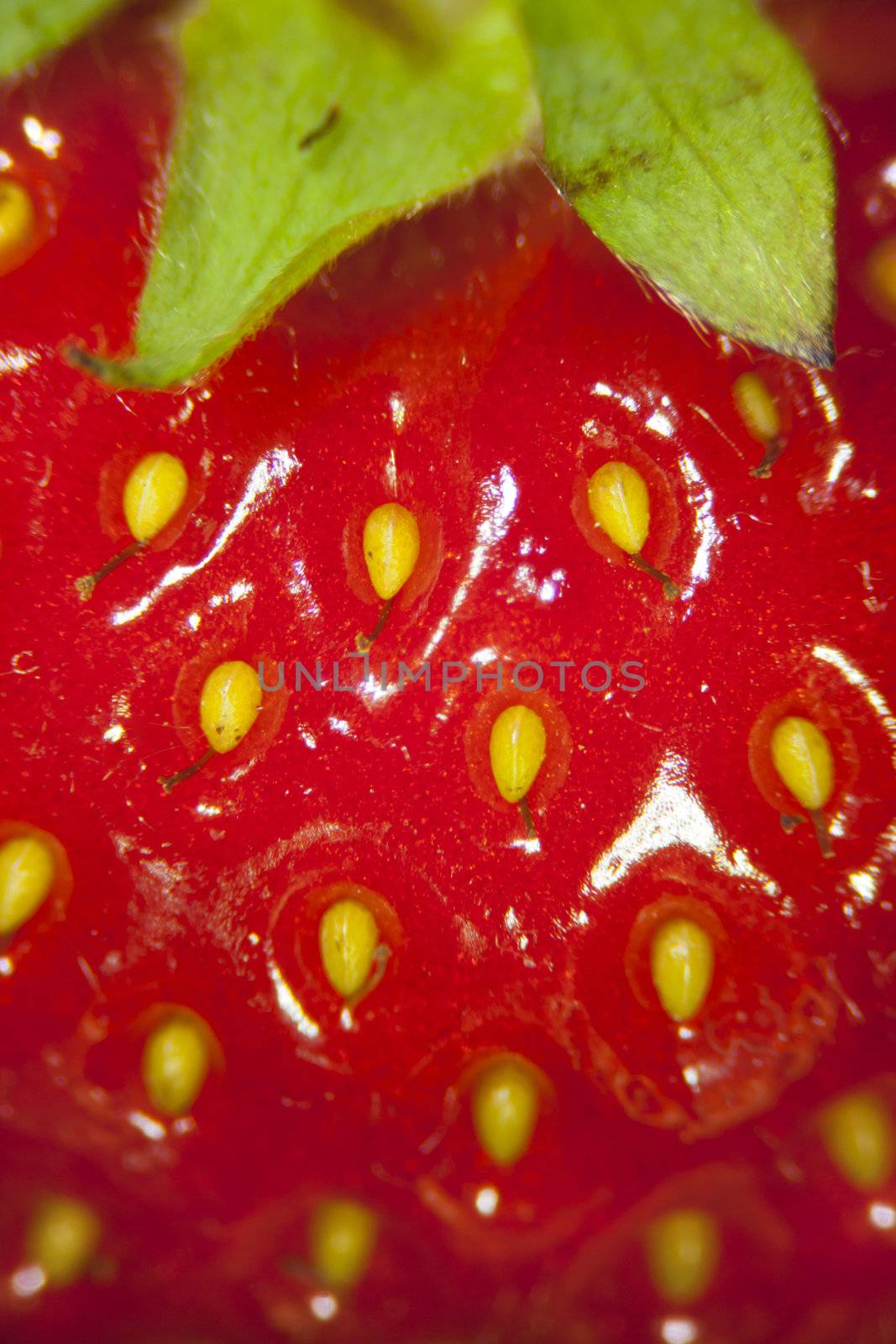 Close up of a strawberry