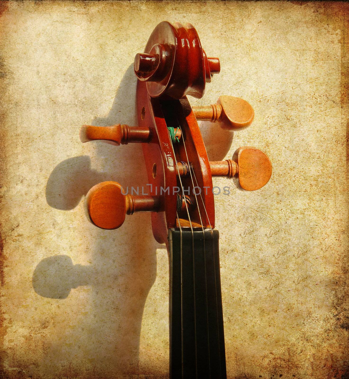 Details of violin head on grunge background