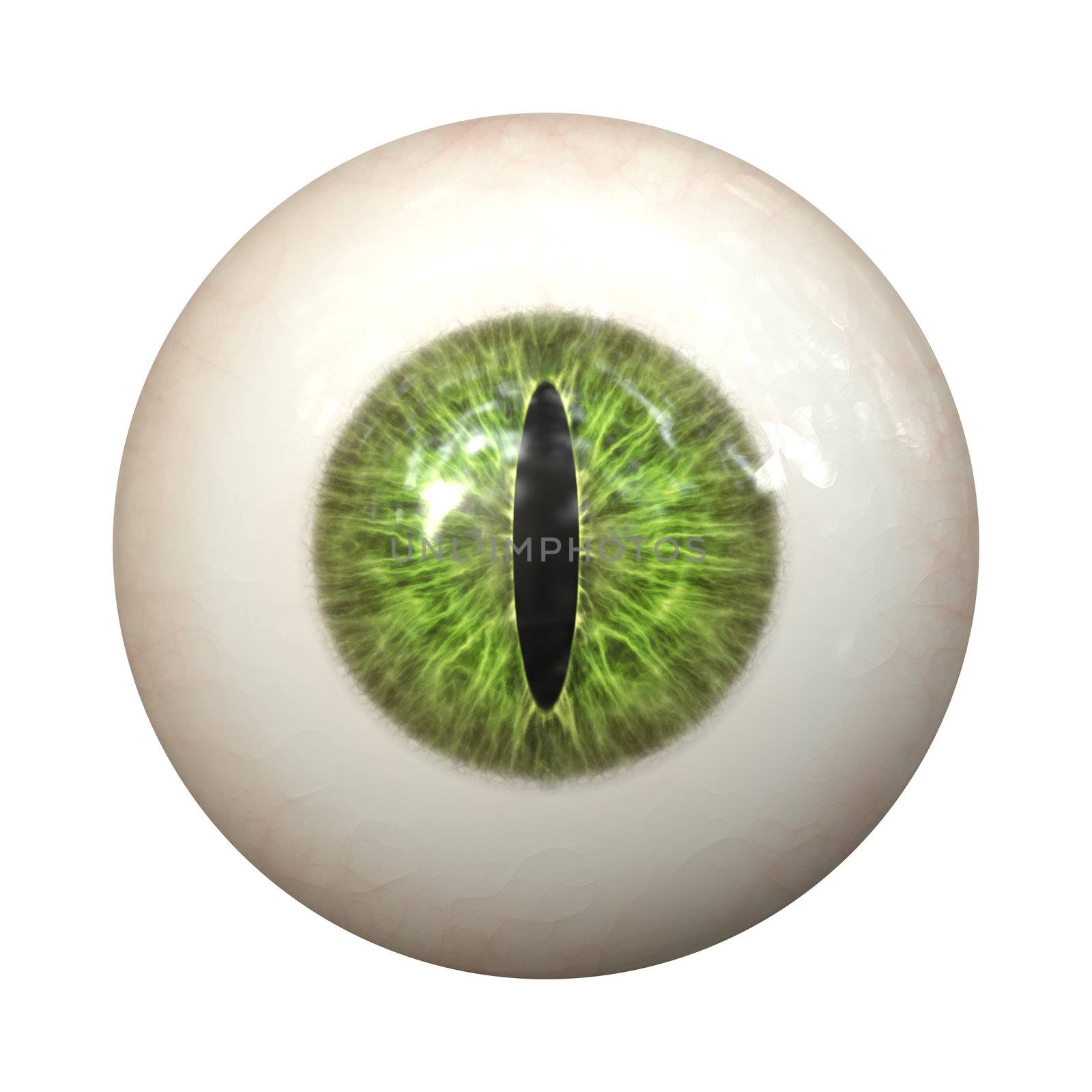 An image of a nice green cat eye texture