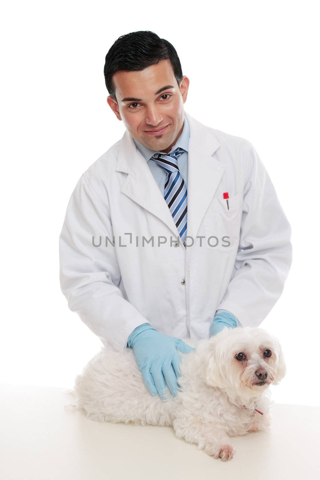 Friendly male veterinarian smiling and gently holding a pet animal on examination table.