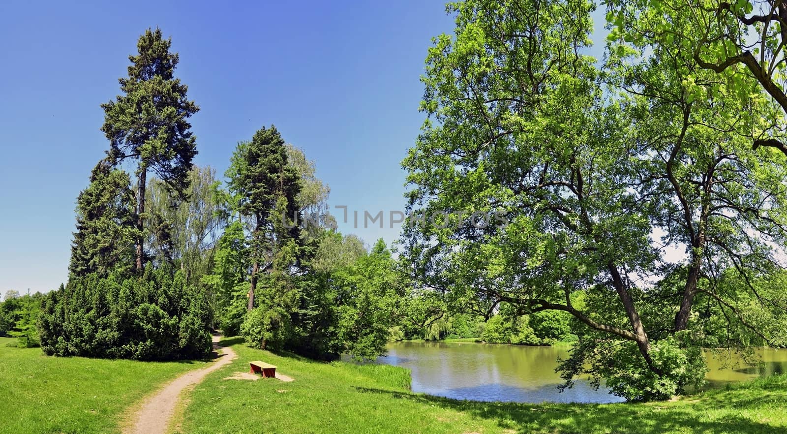 Early summer panoramic rural landscape with bench near water