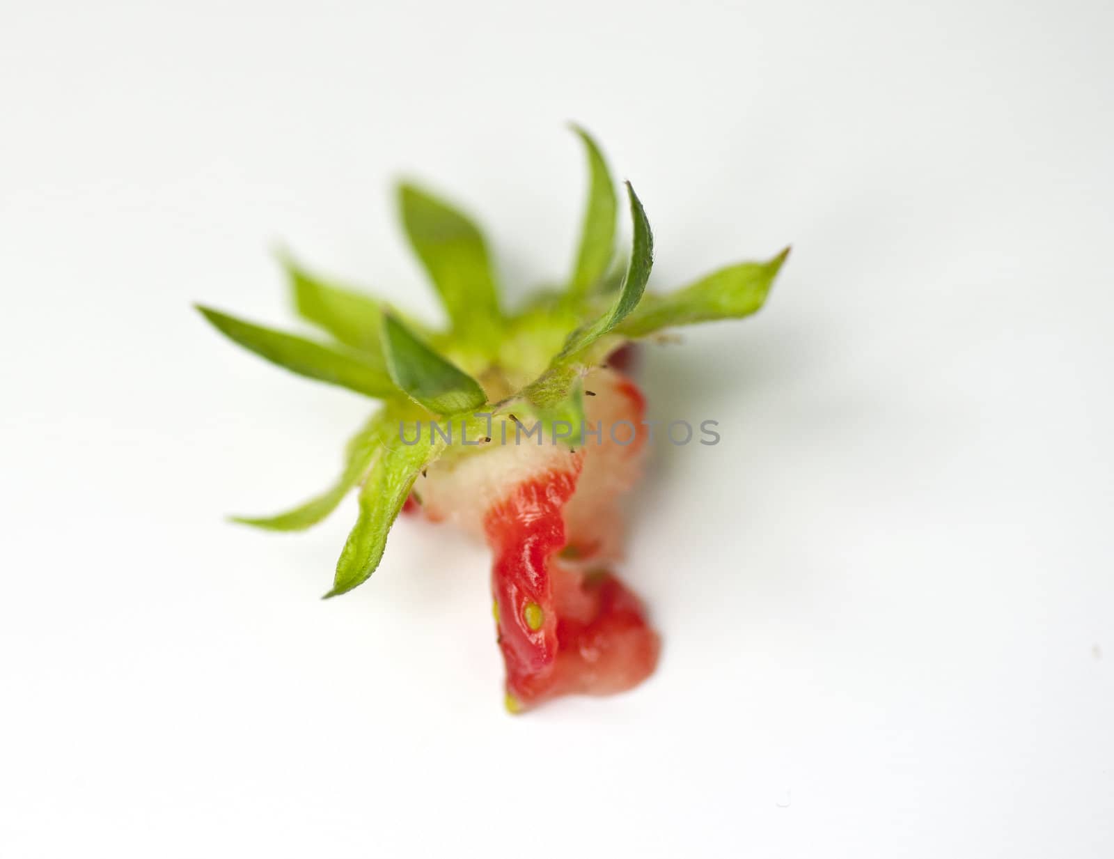 Closeup of what once were a delicious and tasteful strawberry