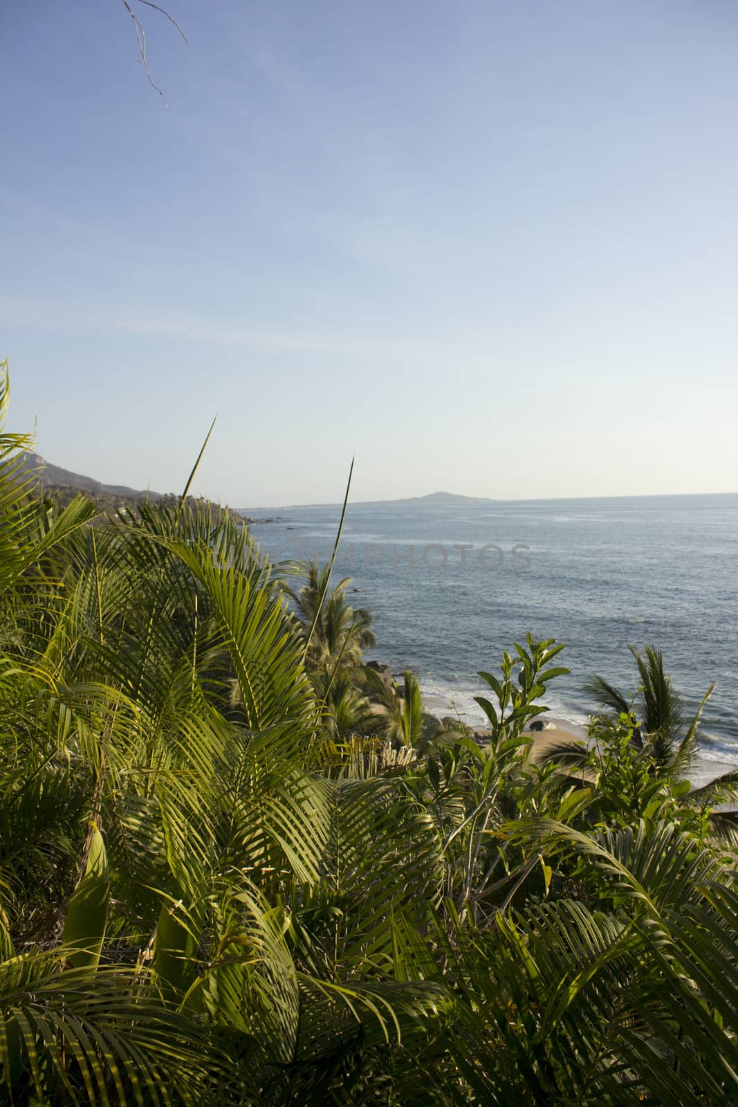 ocean view from the top of the jungle