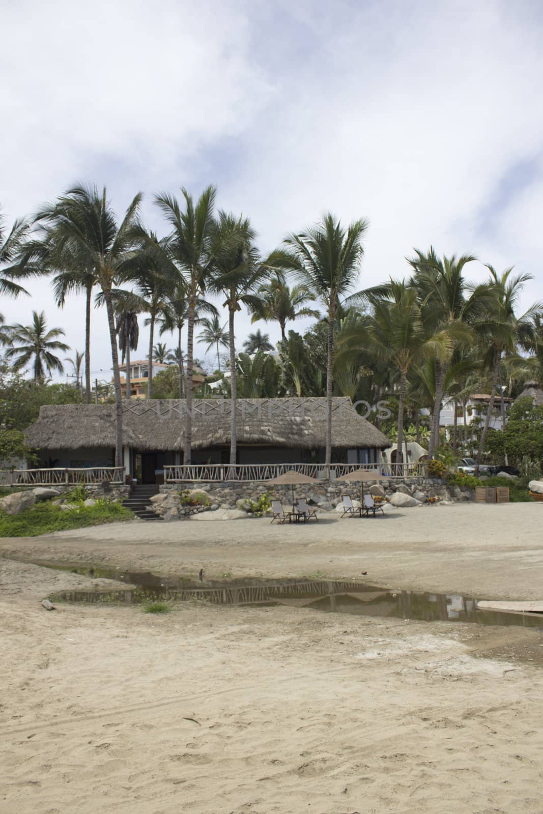 a tropical beach location in mexico with palm trees.