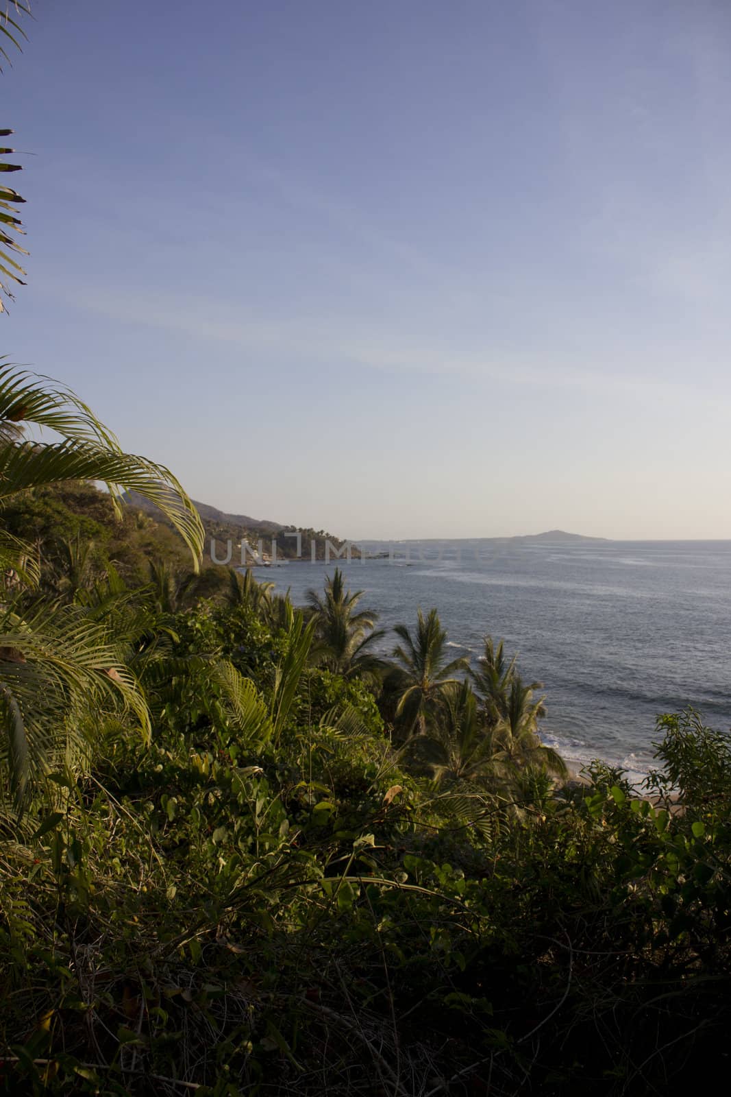 Looking at the ocean from high in the jungle by jeremywhat