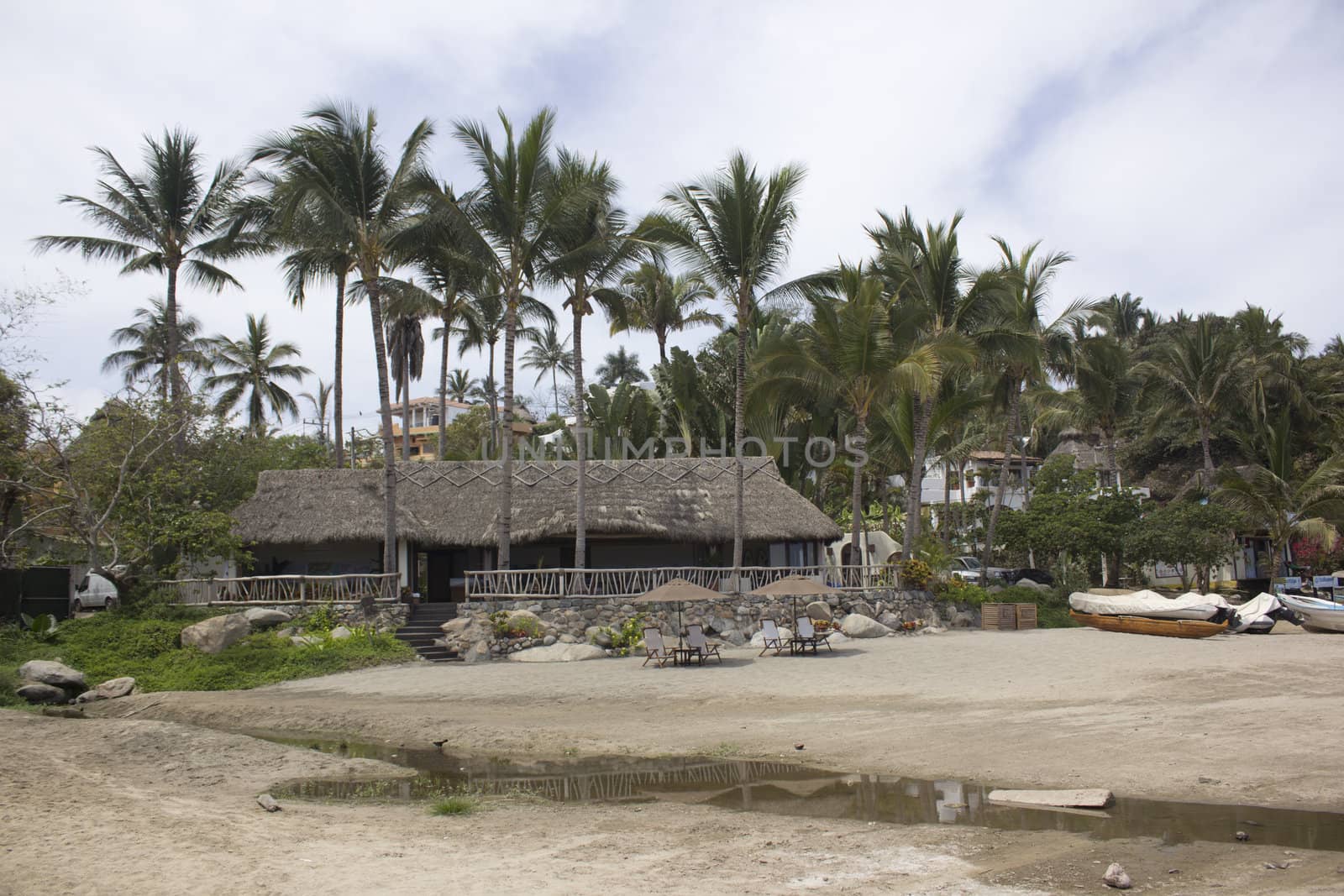a tropical beach location in mexico with palm trees.