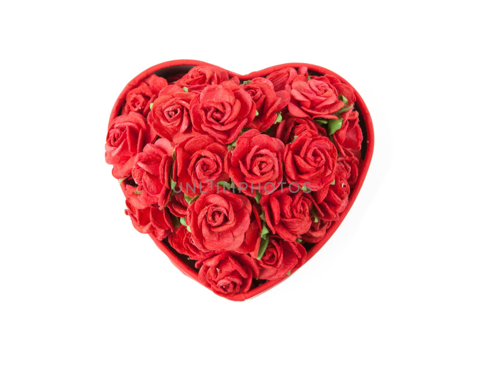 Valentine's day box rose on white background