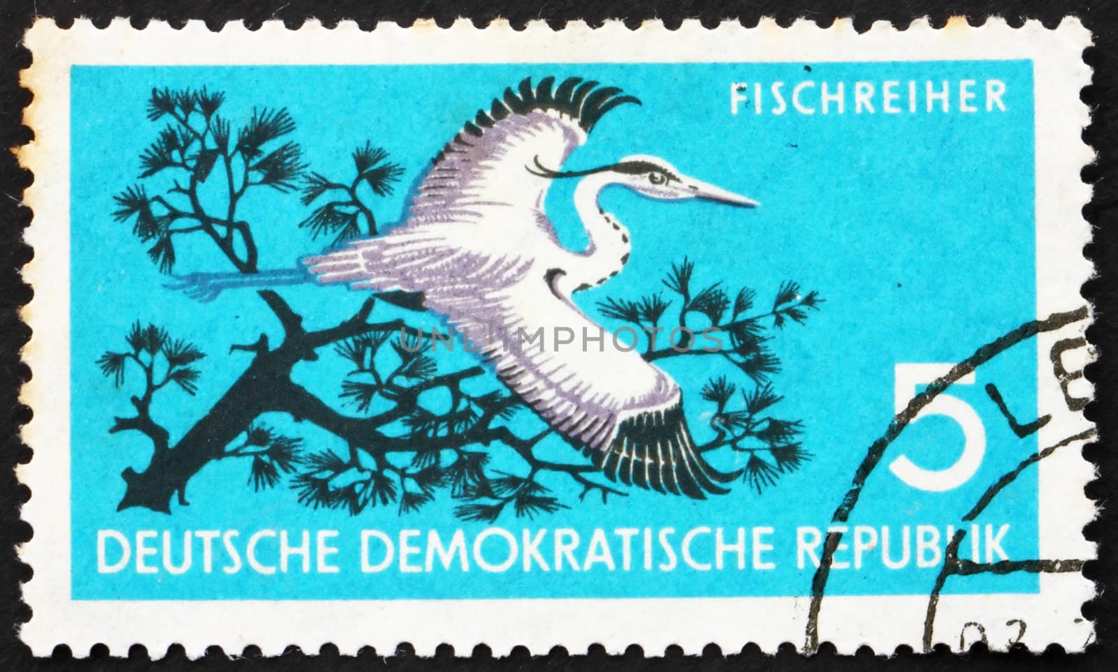 GDR - CIRCA 1959: a stamp printed in GDR shows Grey Heron, Ardea Cinerea, Bird, circa 1959