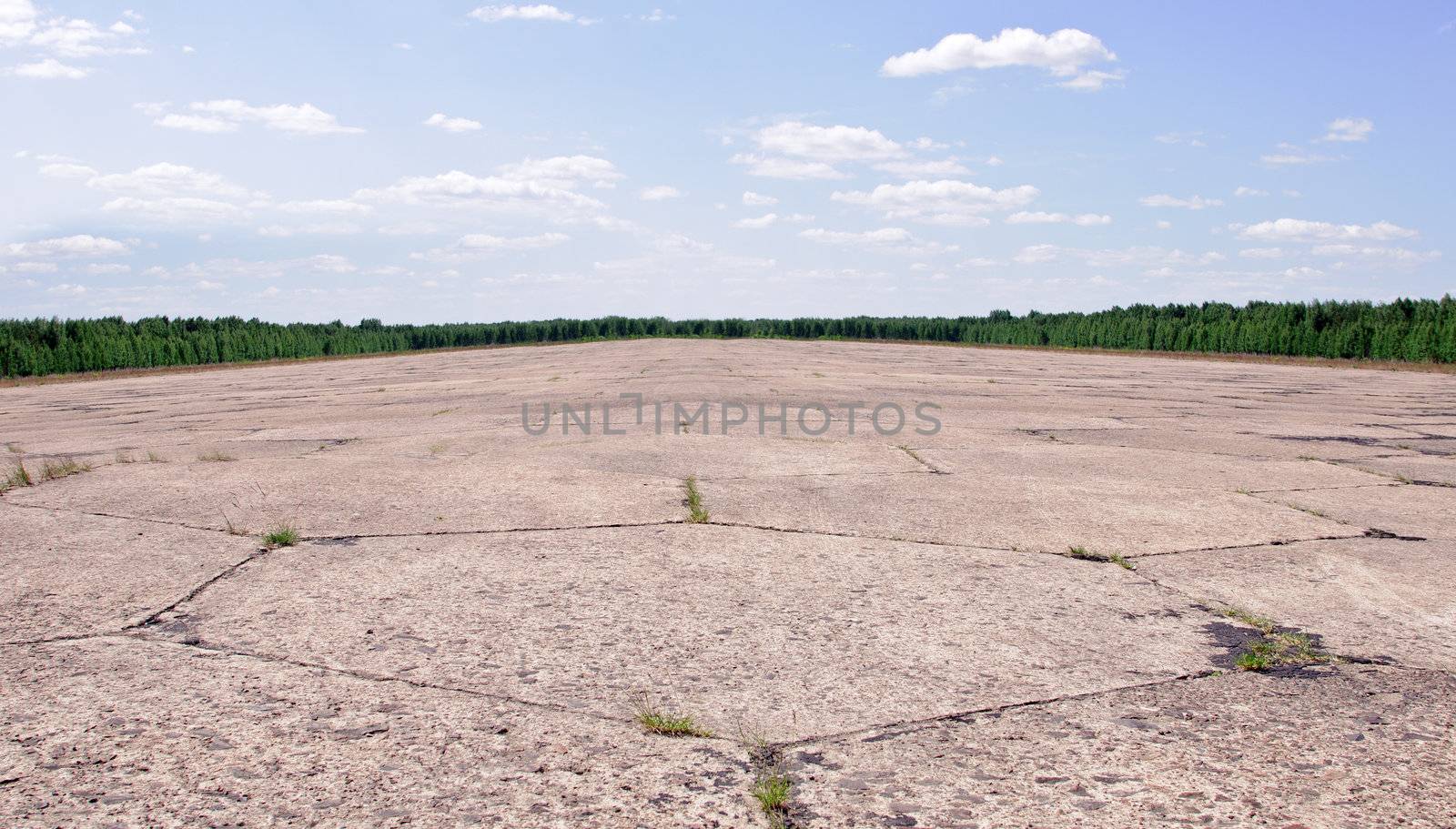 there is old airfield runway in the woods