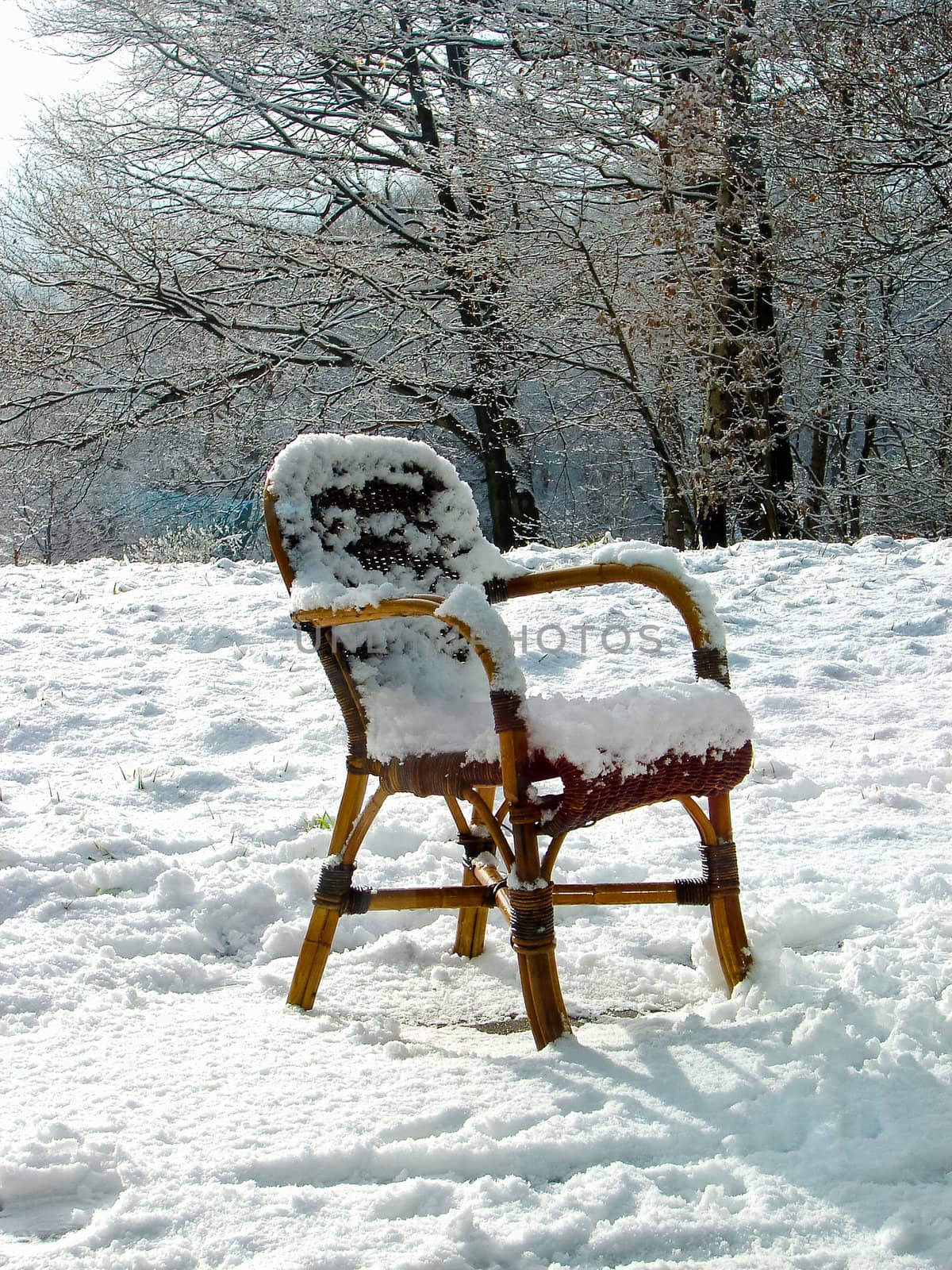 Wicker chair on a snowy meadow. Netherlands