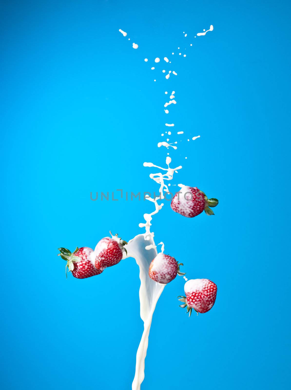 milk splash with red ripe strawberry over blue background