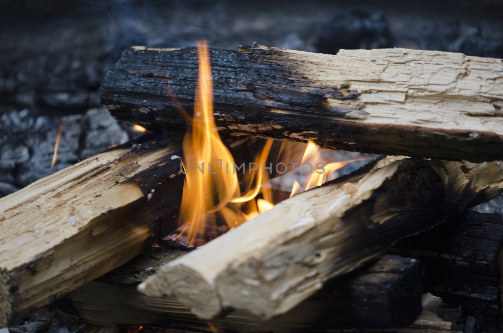 camp fire lit logs on fire camping