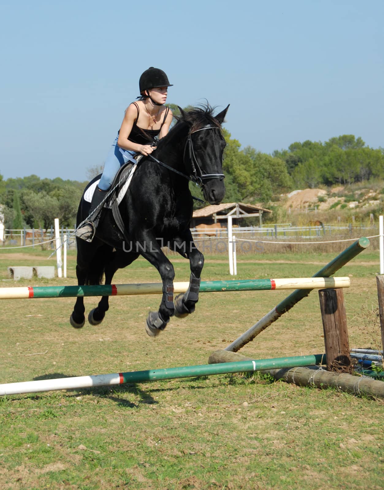 young teenager and her black stallion training for a competition of jumping

