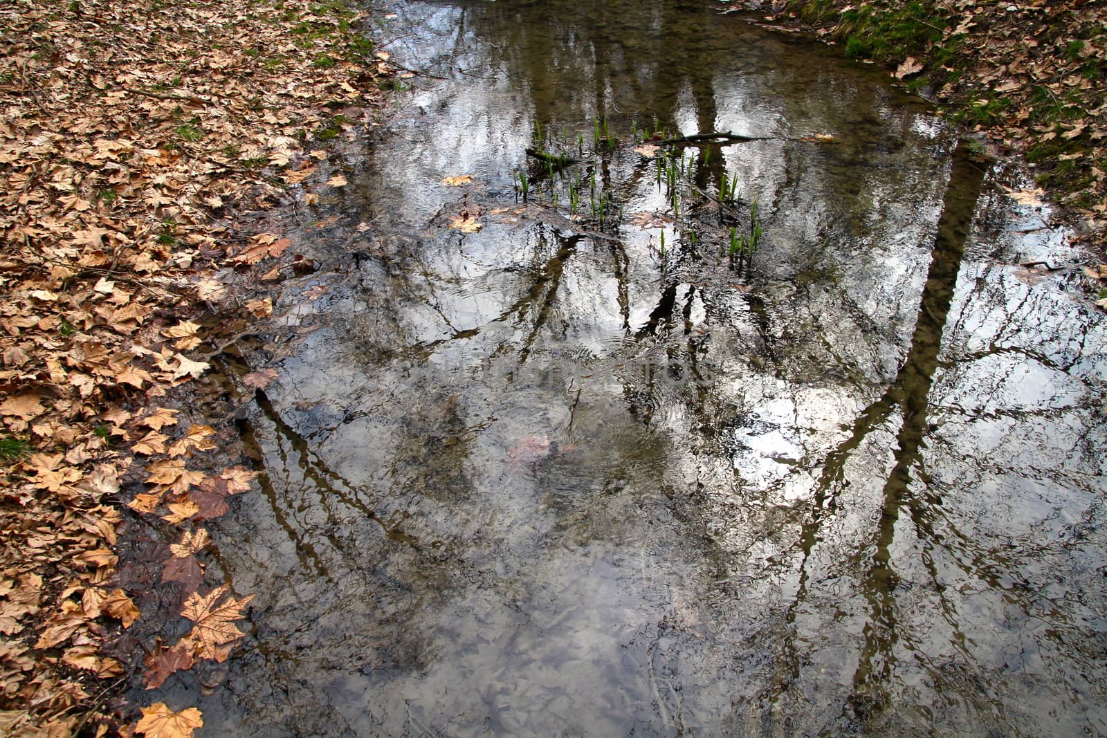 Autumn landscape, park, pond, trees ,reflection in water.
