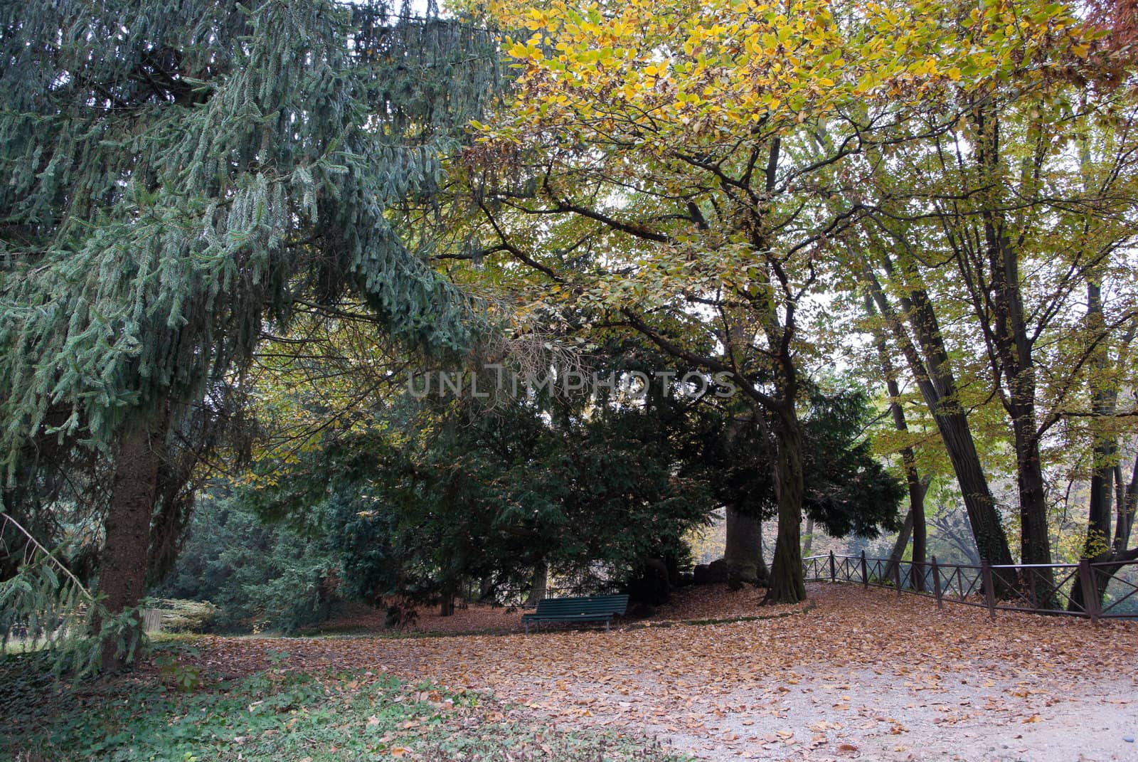 public park with a trees and lush nature in Italy