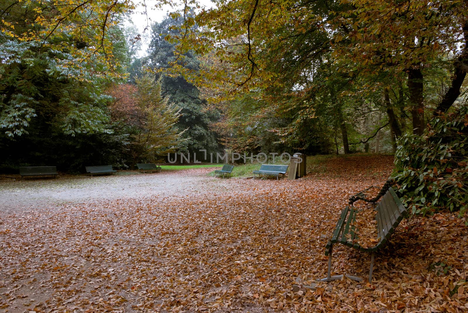 public park with a trees and lush nature in Italy