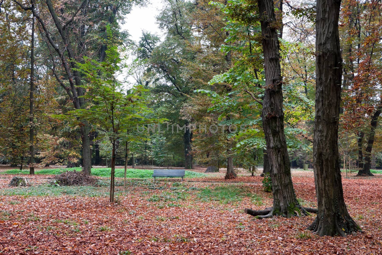 public park with a trees and lush nature in Italy