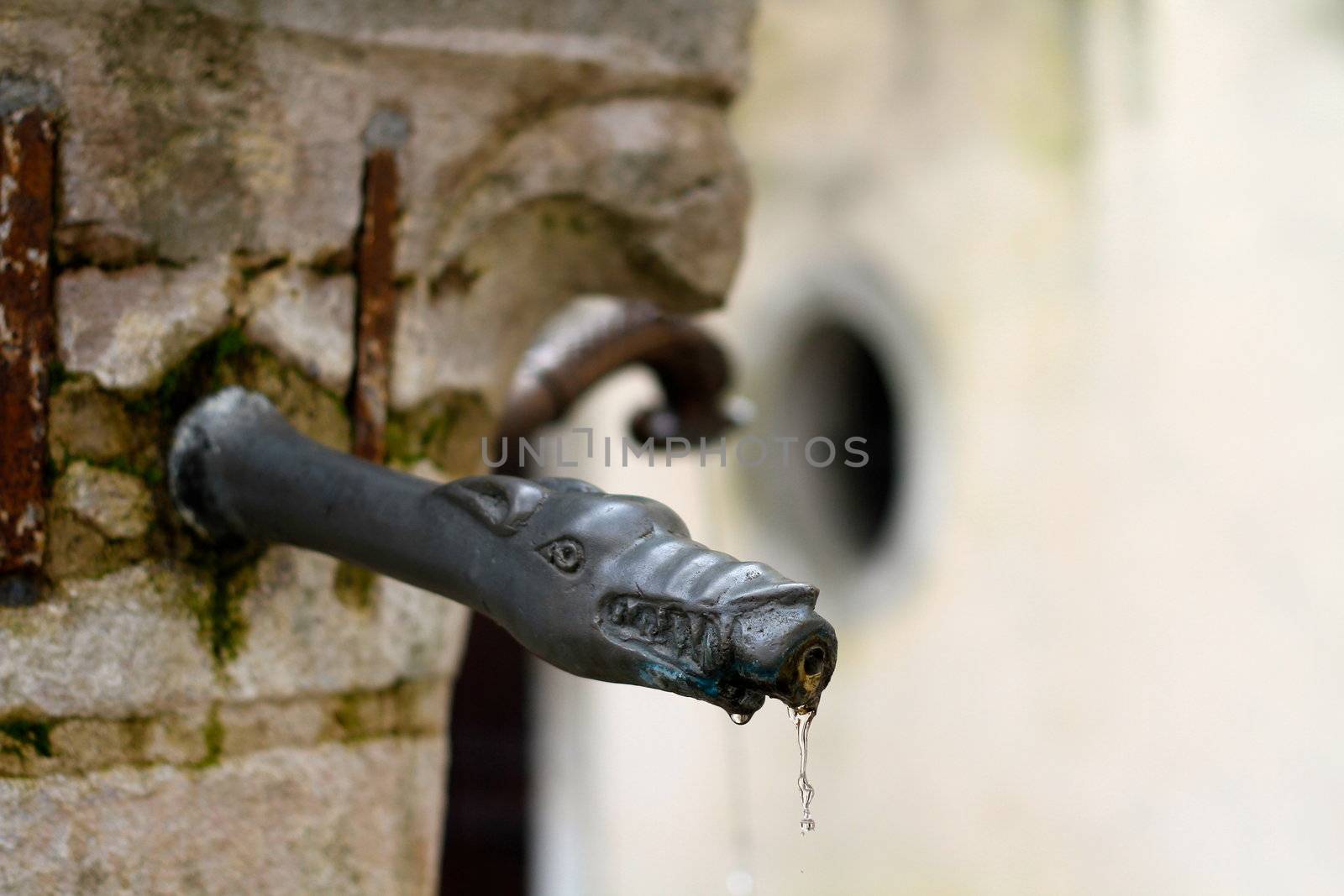 detail of an ancient fountain in Belluno by lifeinapixel