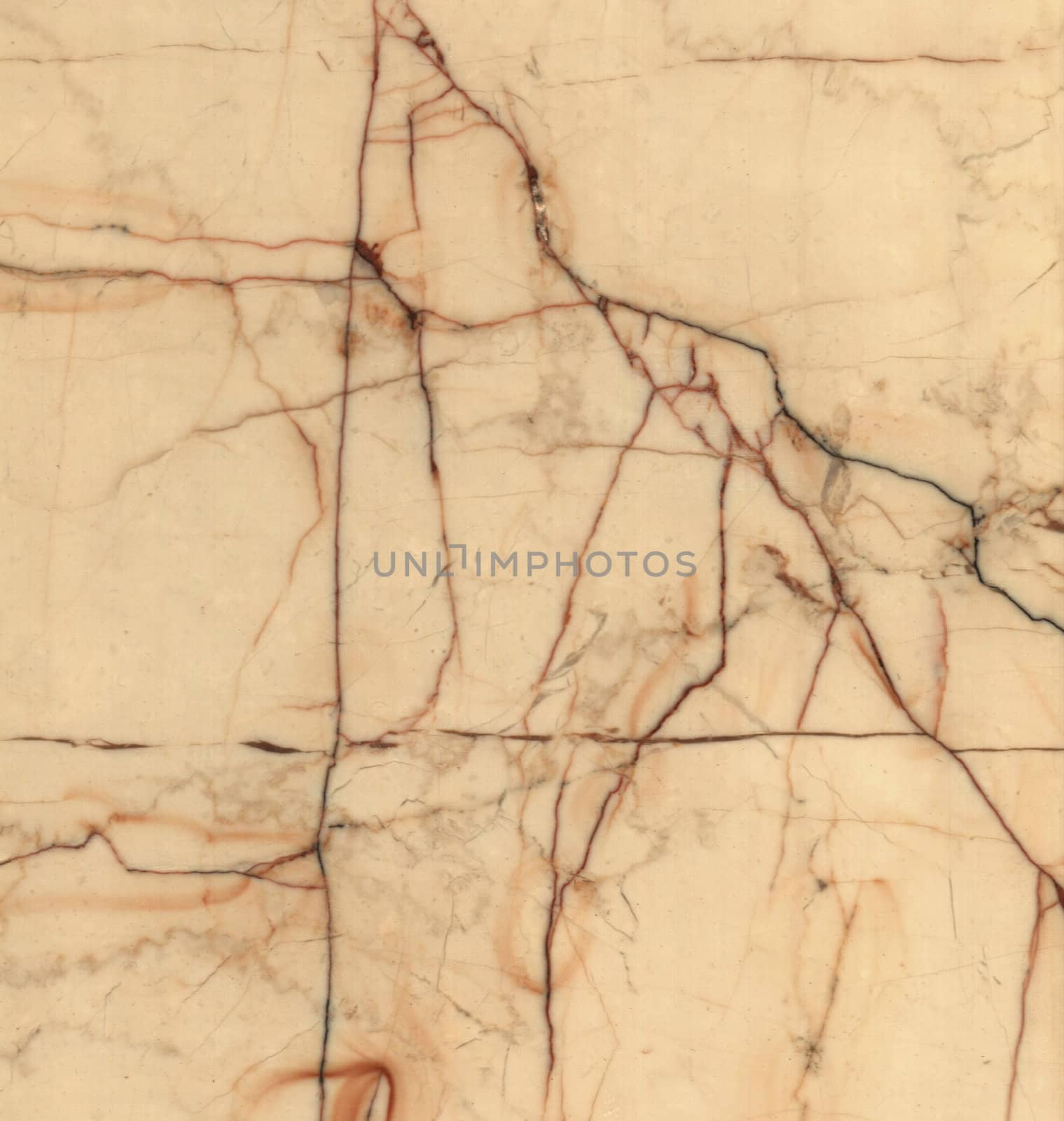 Brown marble texture background (High resolution scan)