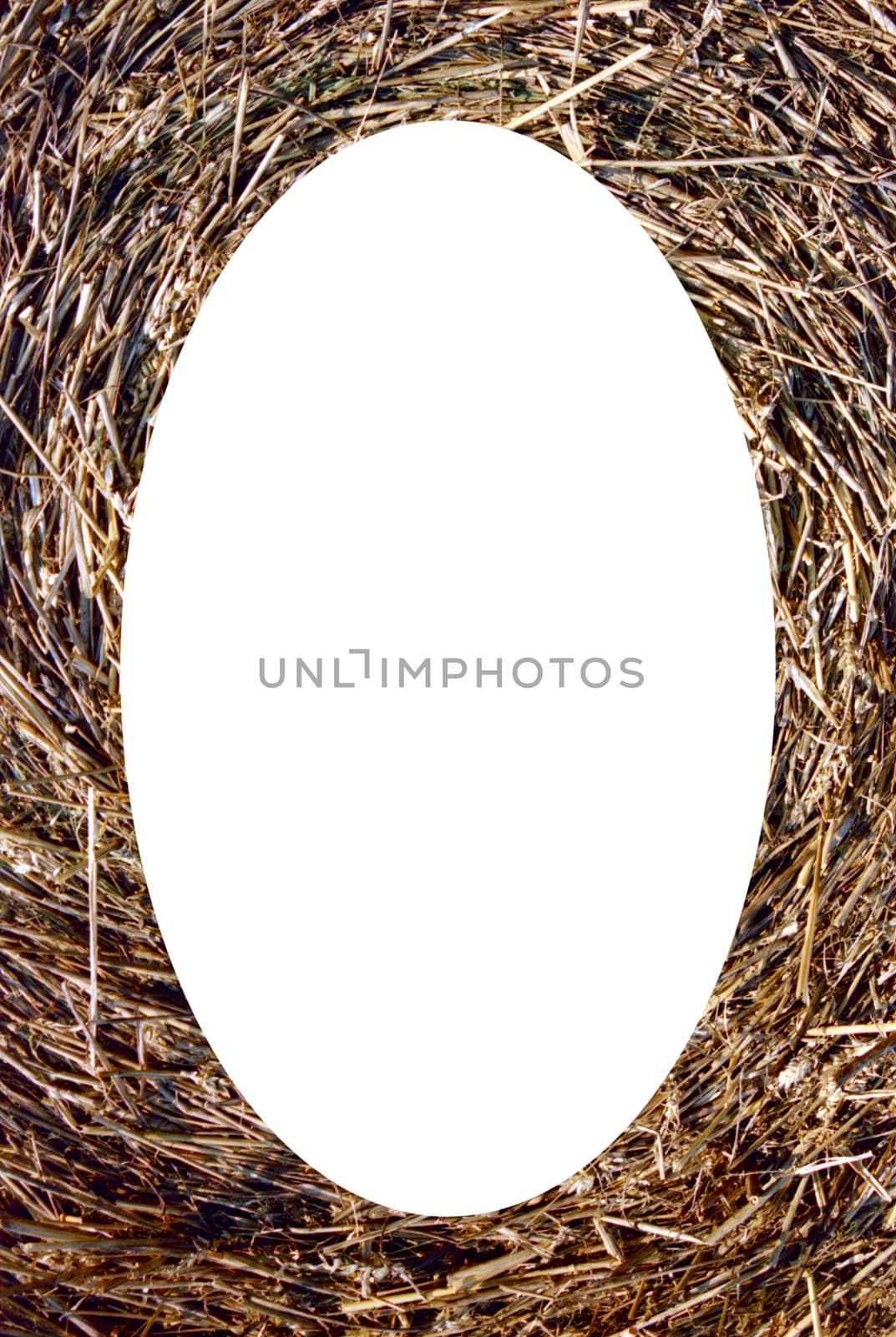 Isolated oval place for text or photograph image photoframe frame. Close-up of straw bales.