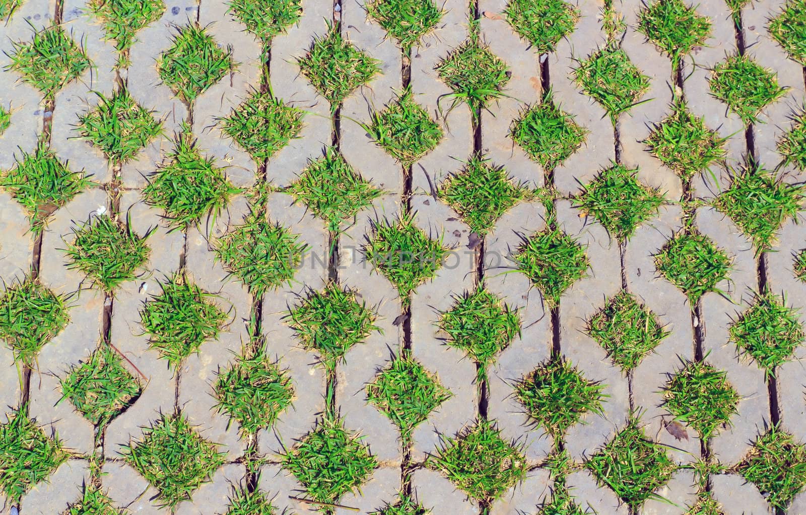 Old brick floor and green grass in hole.