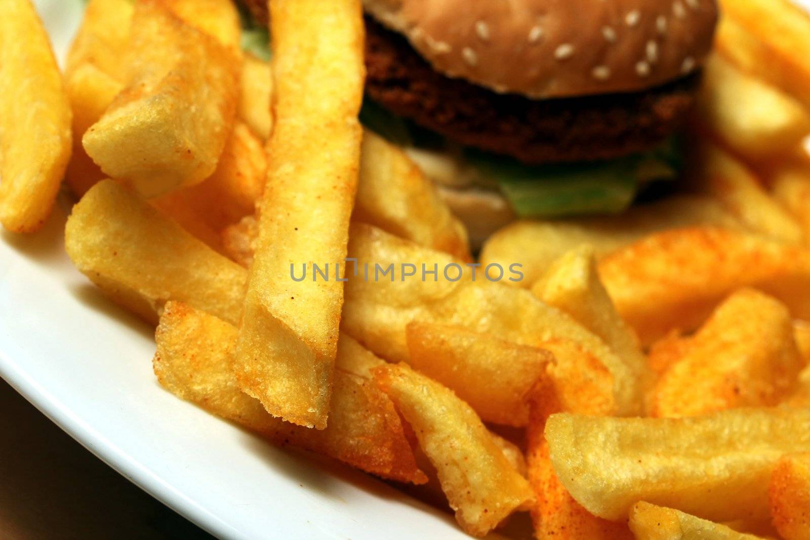 chicken burger with french fries by Teka77