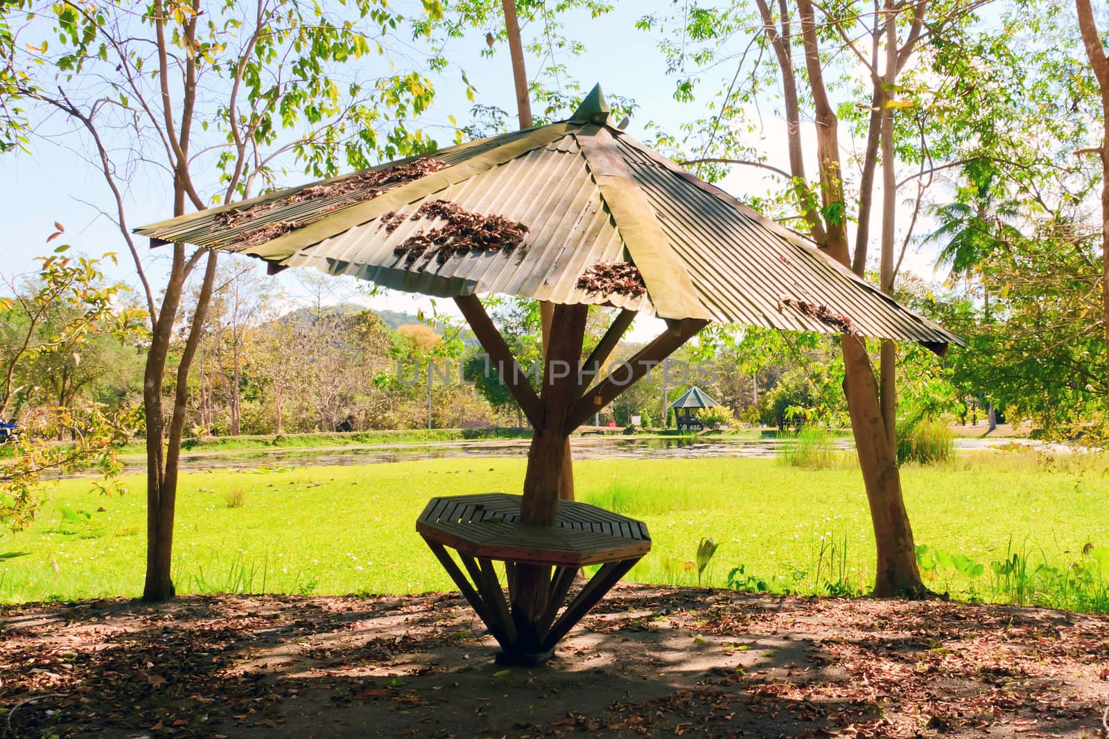 Classic and Ancient Pavilion Thai Style in Thailand Garden