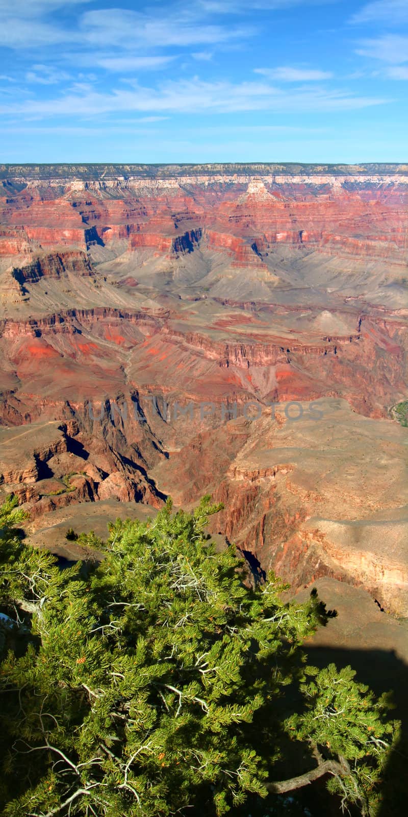 Grand Canyon National Park landscape from Mather Point in the United States.
