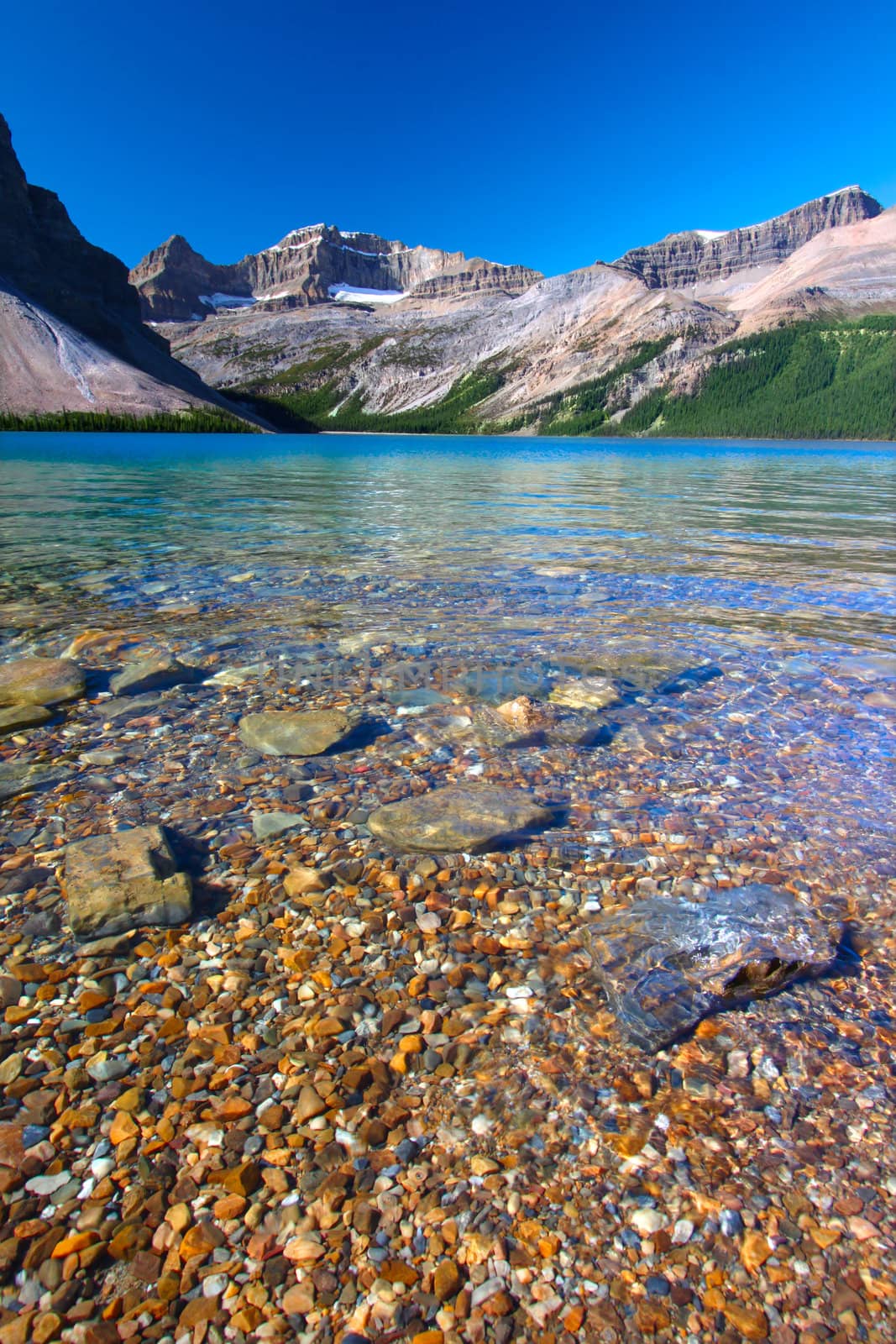 Rocky substrate visible under clear waters of Bow Lake in Banff National Park of Canada.