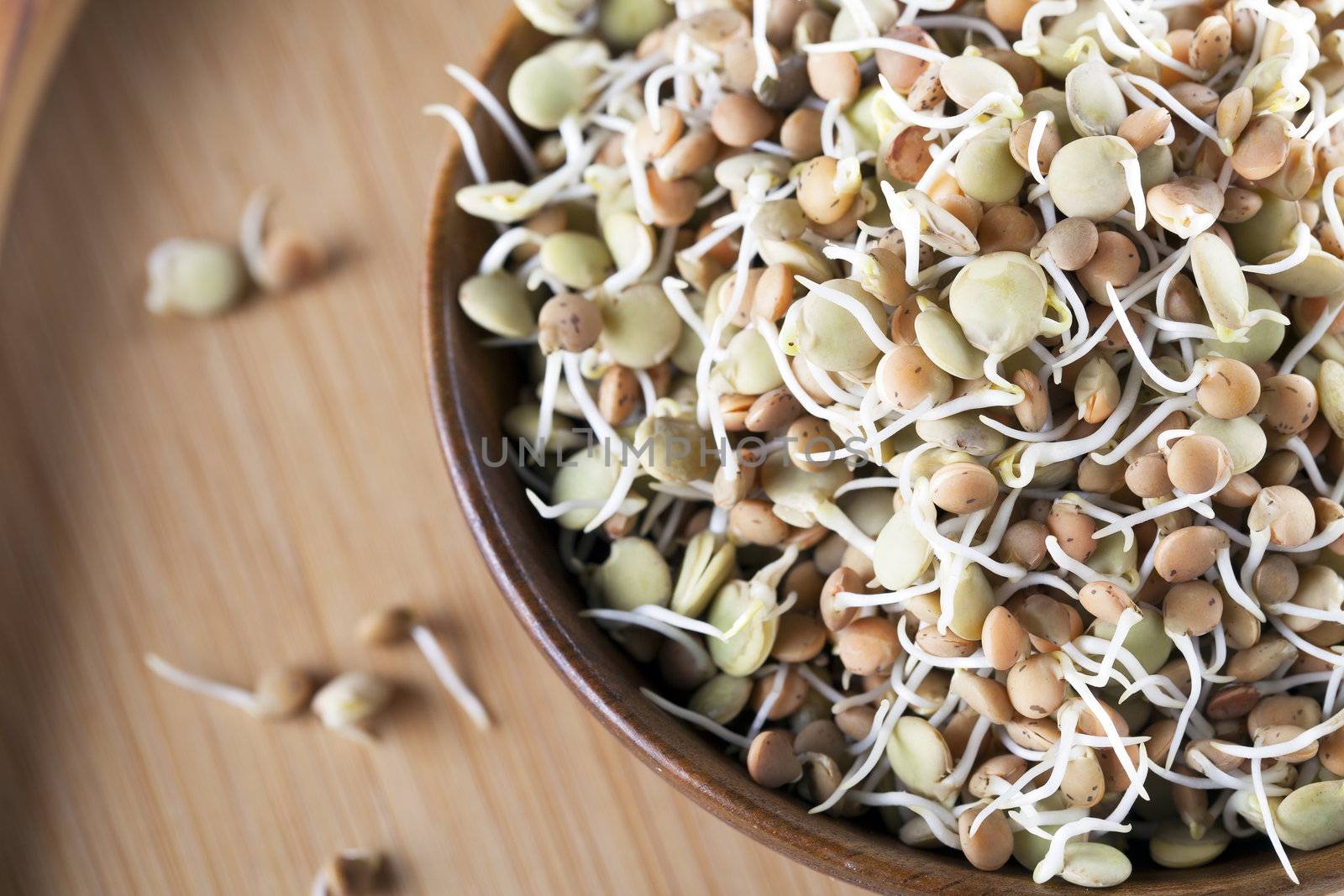 Mixed brown and green sprouted lentils in a wooden bowl.