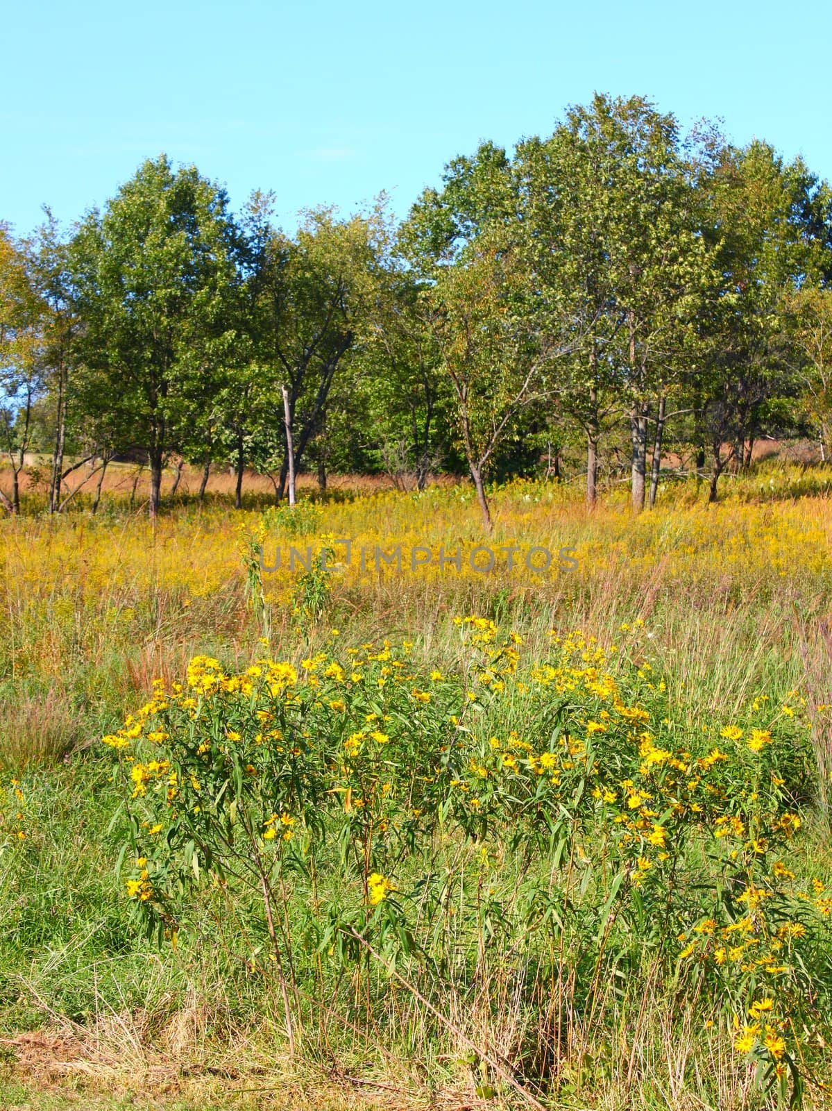 Castle Rock State Park Prairie by Wirepec