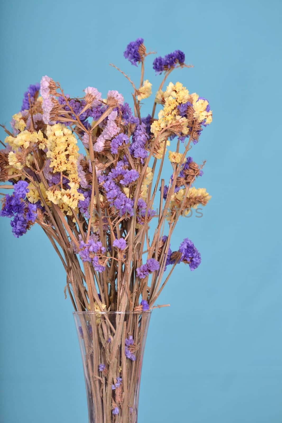 Composition of dried flowers arranged in a vase