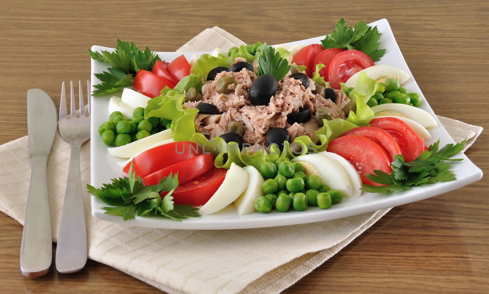Tuna Salad and vegetables by Apolonia