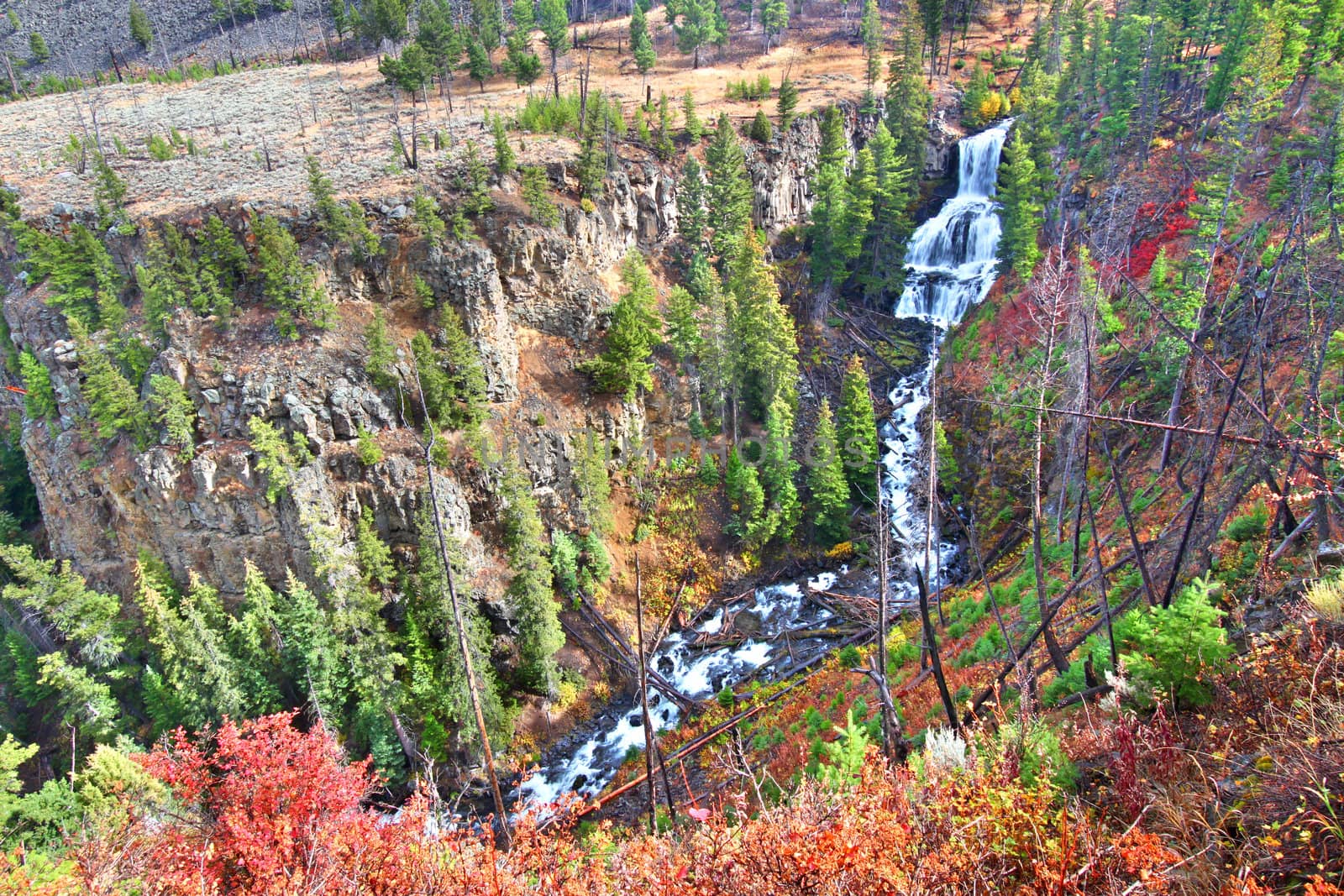 Undine Falls on an autumn day in Yellowstone National Park of Wyoming.