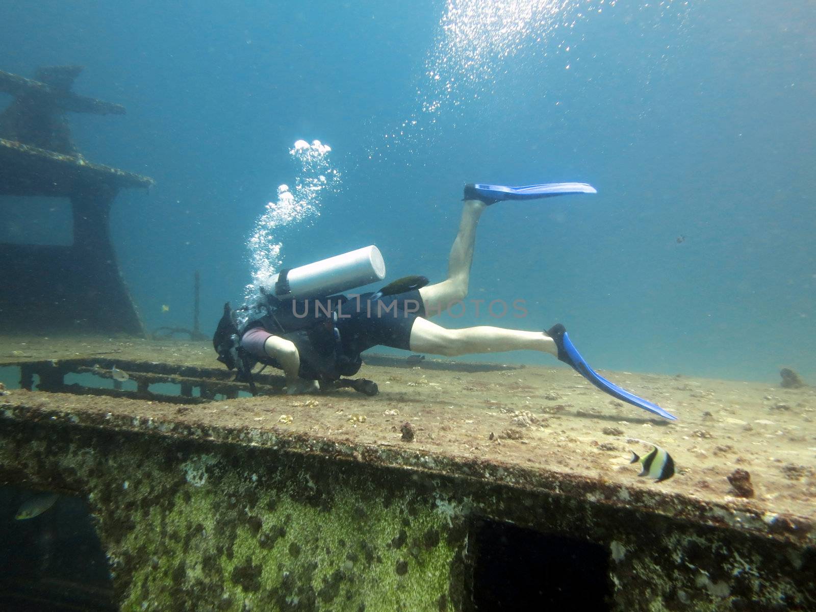 Young Man Scuba Diver between Water Surface near a shipwreck