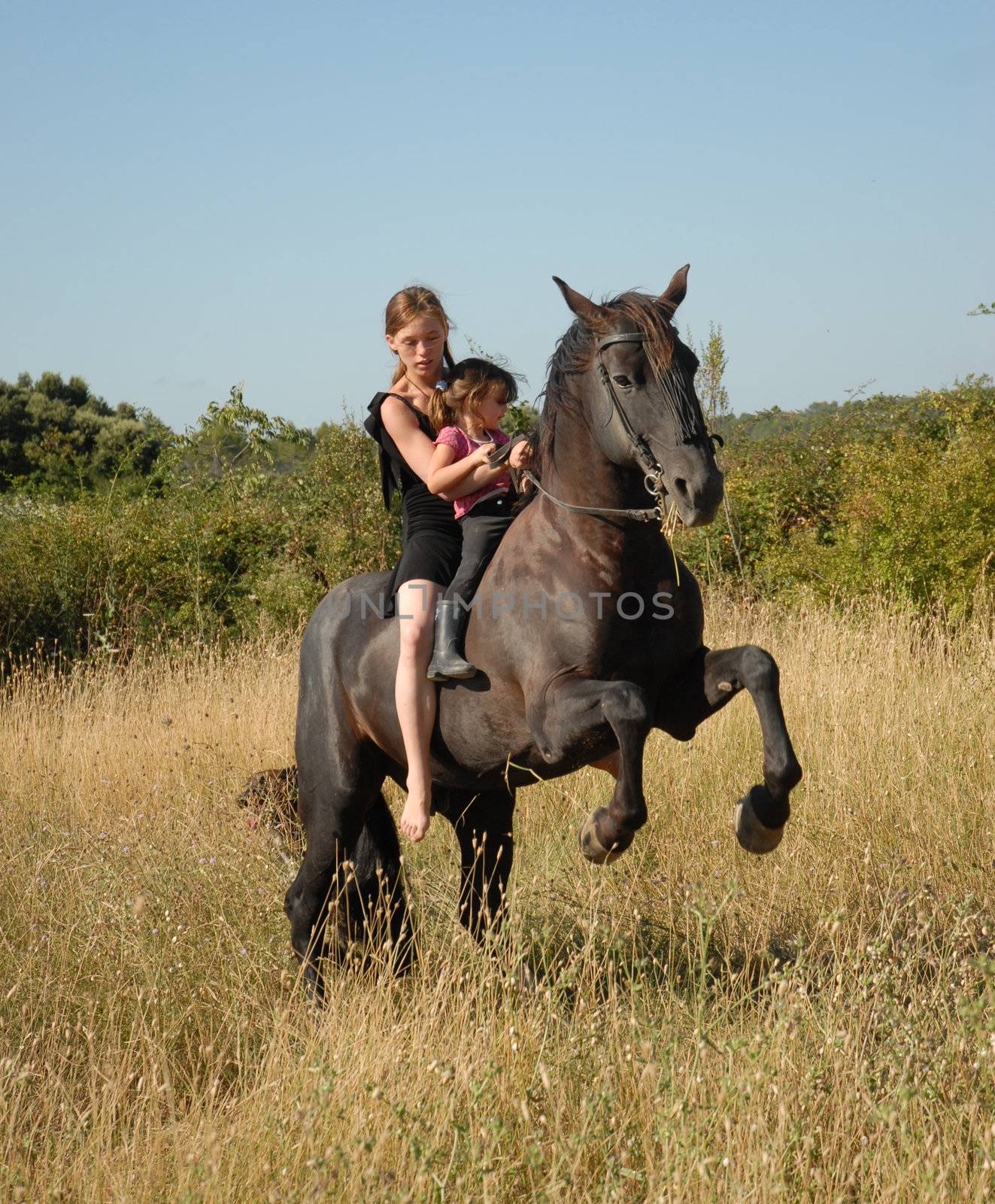 rearing black stallion in a field with teenager and little girl
