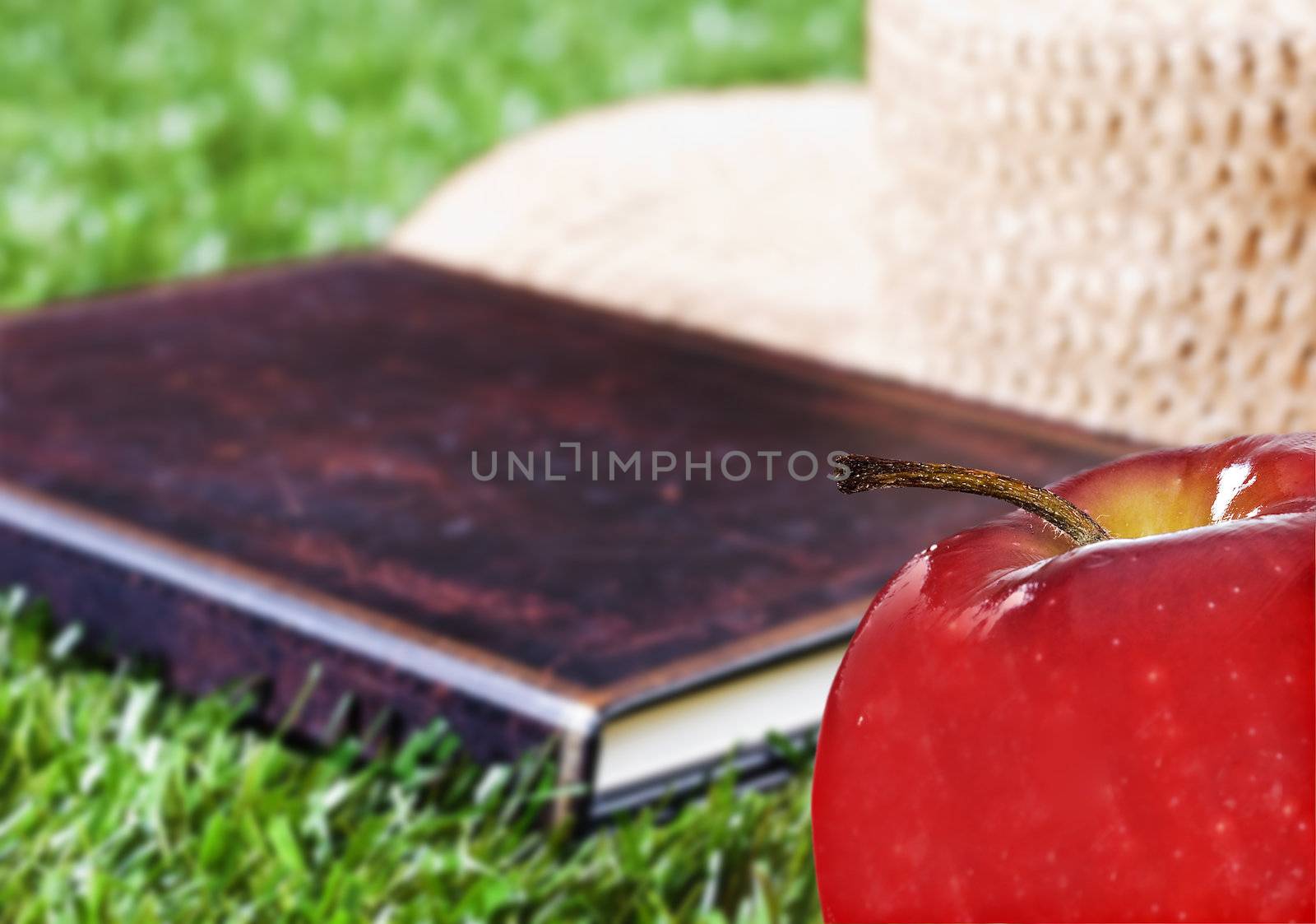 Close up of an apple, book and hat on a green grass lawn