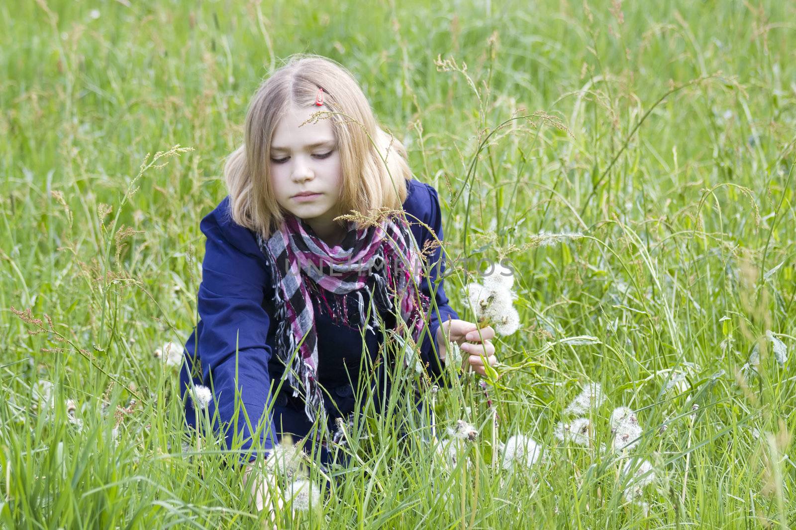 little girl on the meadow in spring day  by miradrozdowski