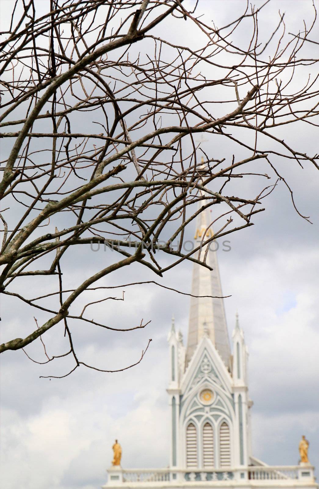 Branch of tree with White Cathedral church by nuchylee